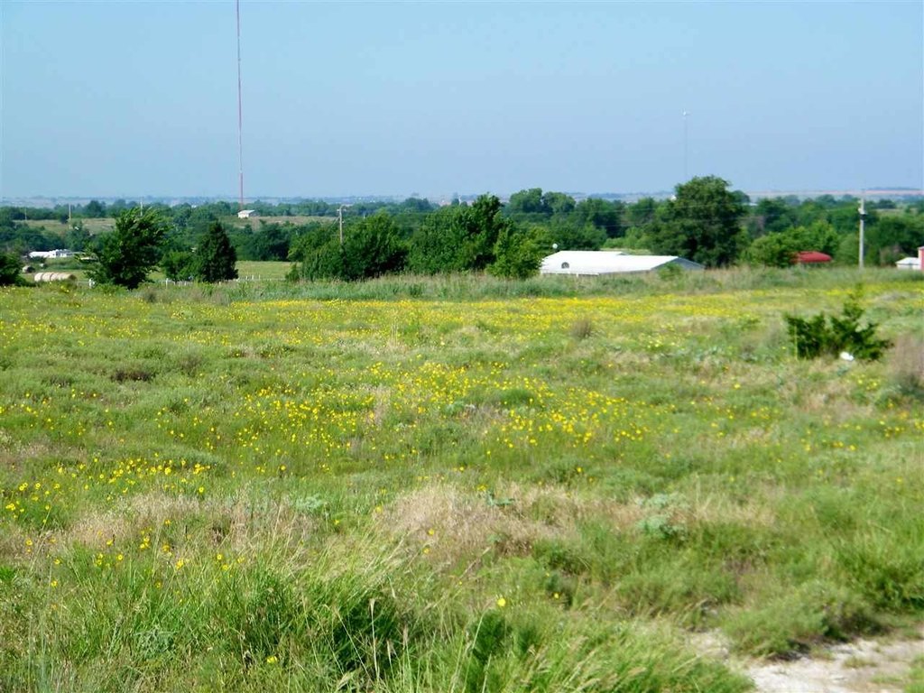 Picture 24