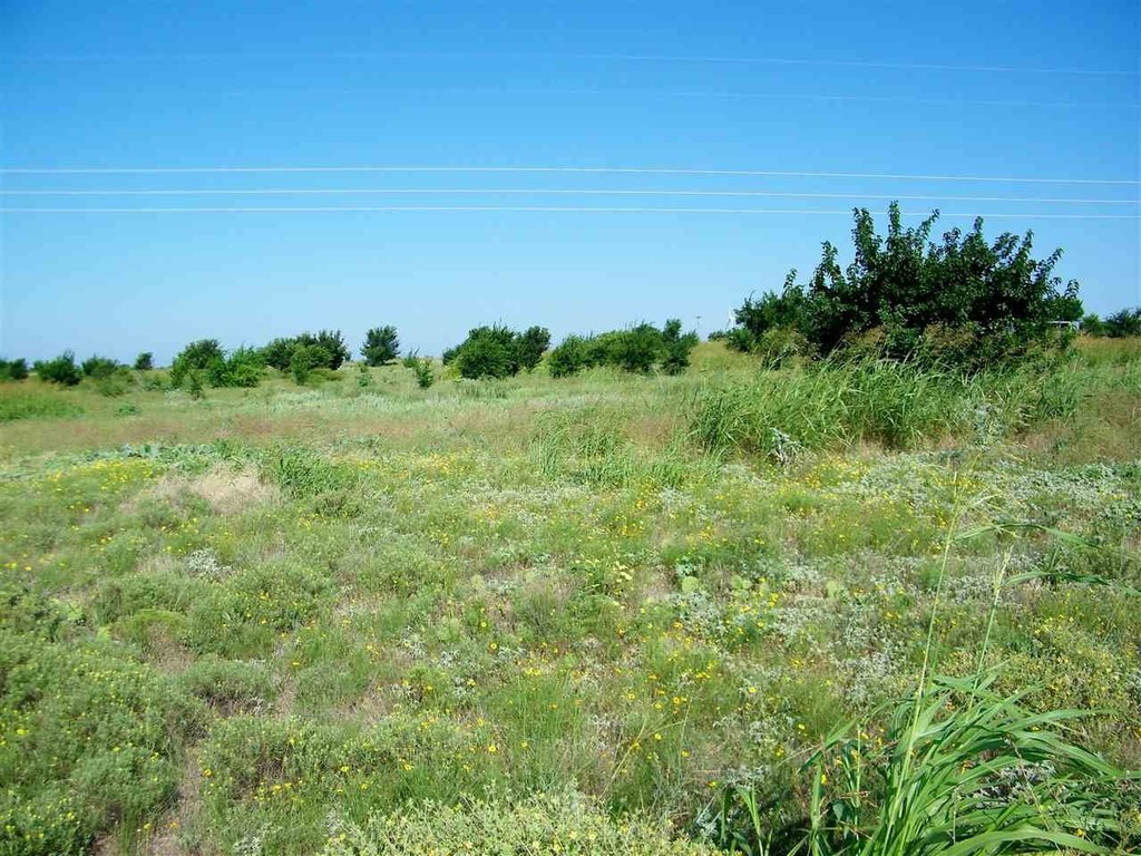 Picture 42