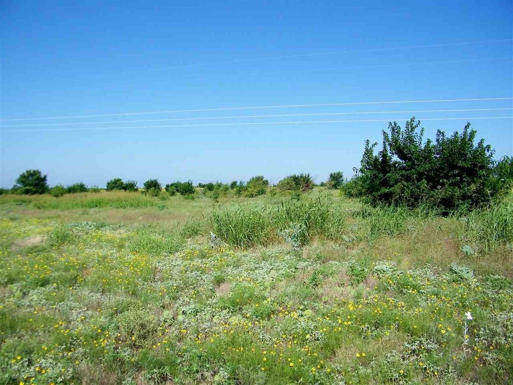 Picture 40