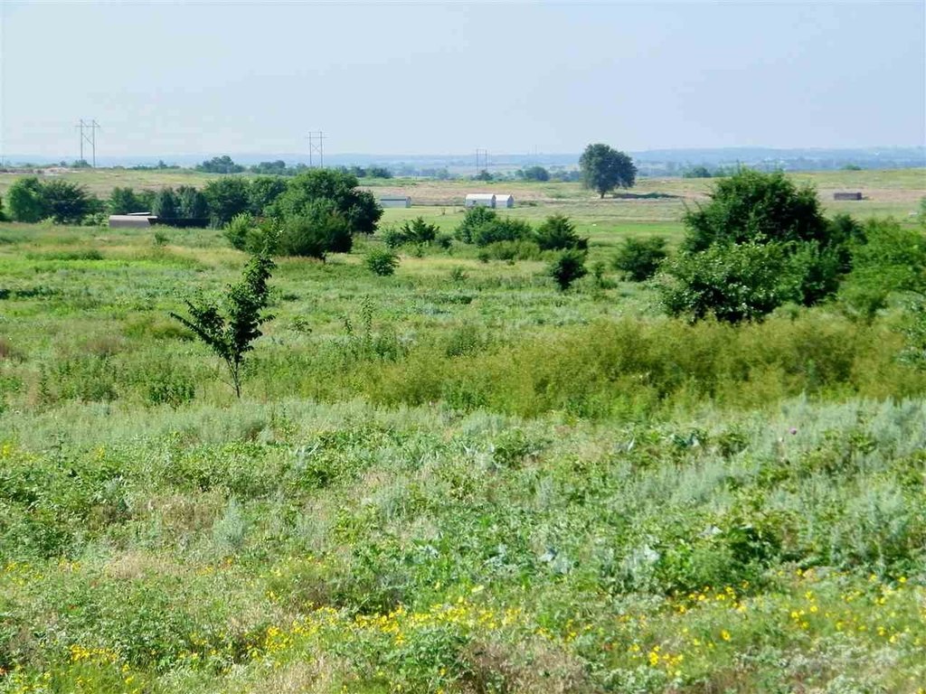 Picture 17