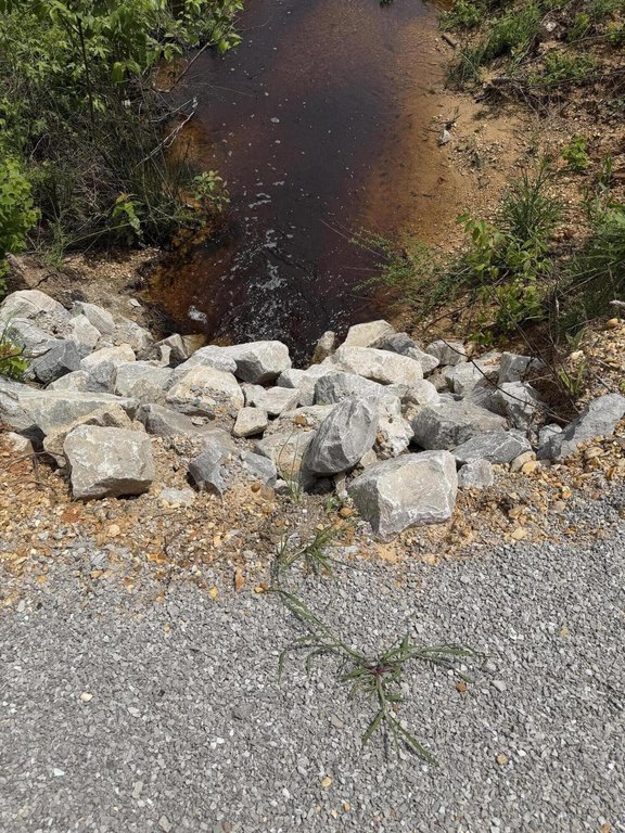 Picture 5