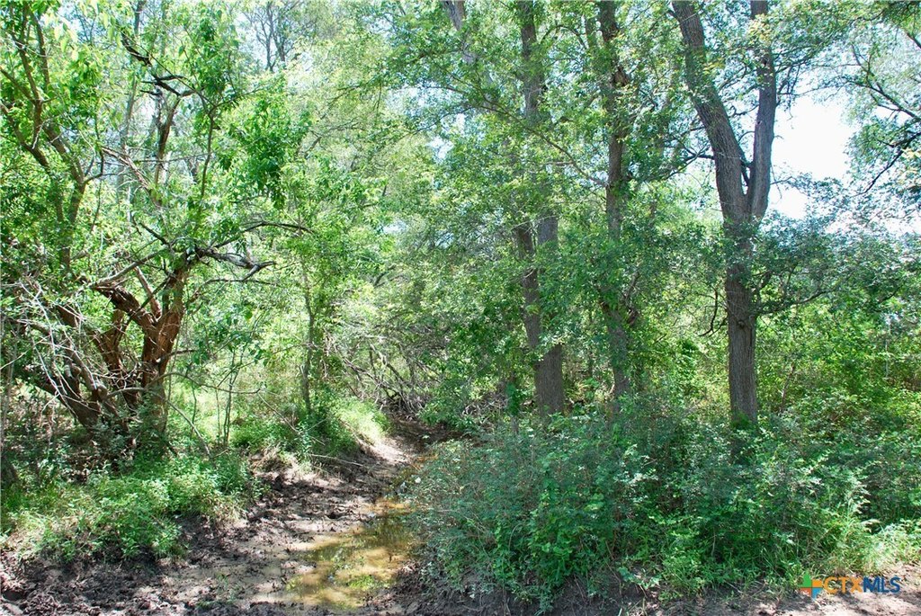 Picture 14