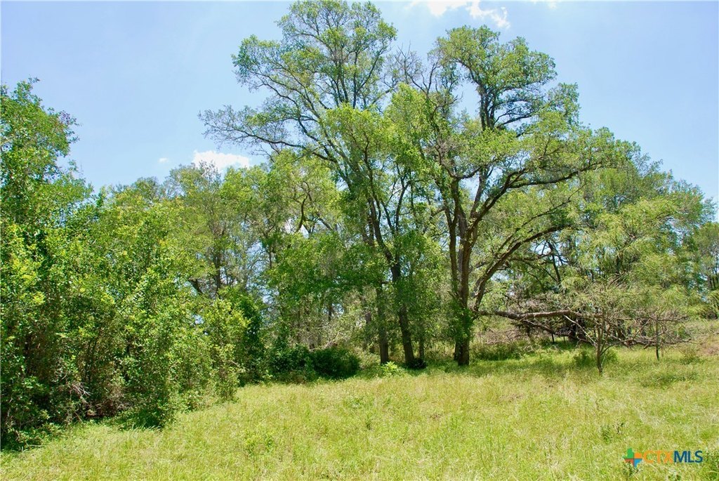 Picture 19