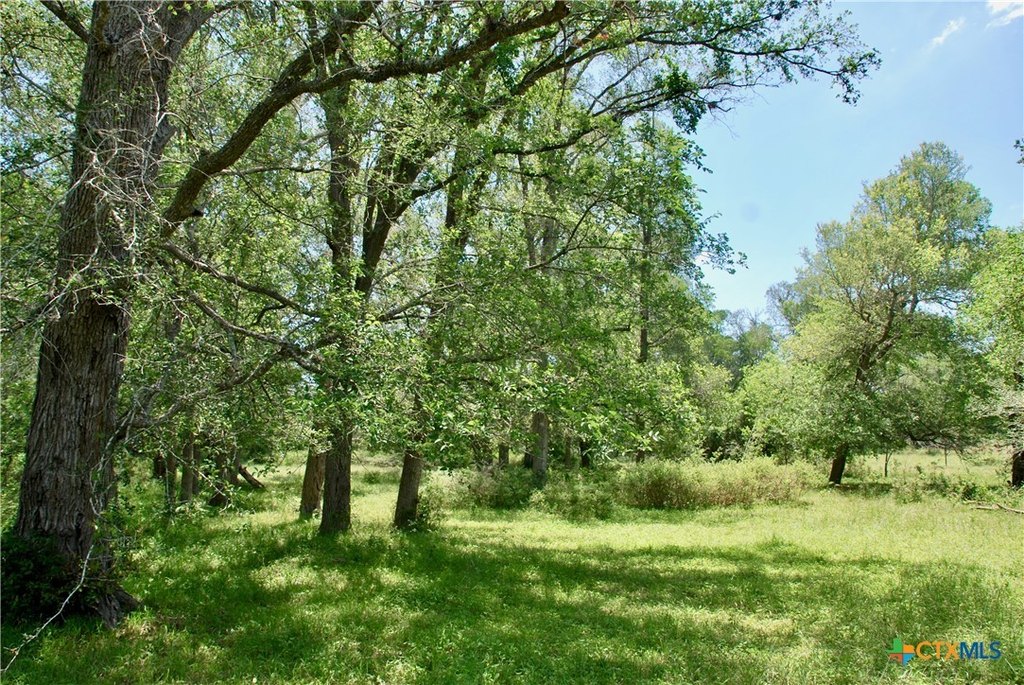 Picture 17