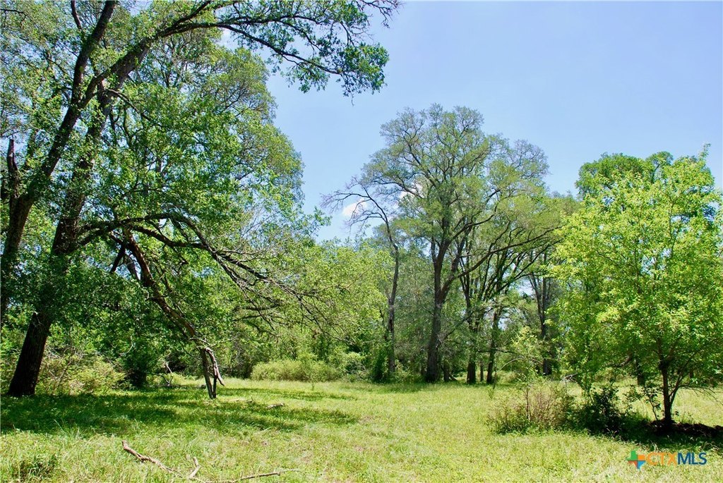 Picture 6