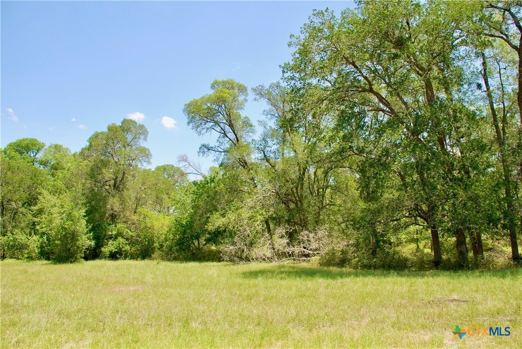 Picture 11