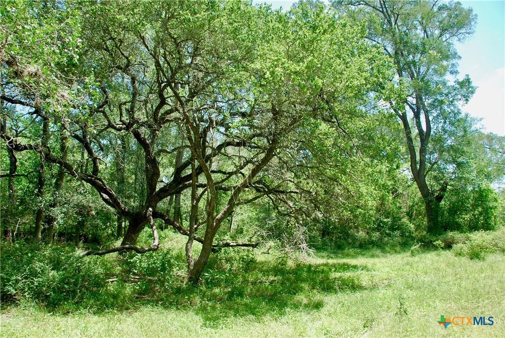 Picture 18