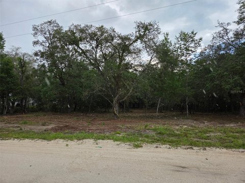 Wooded Acreage Home Lot