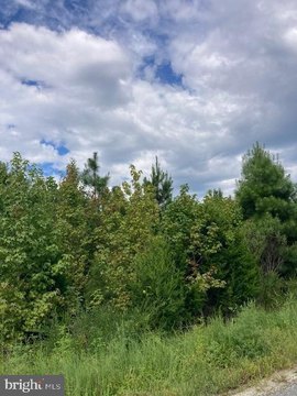 KINSALE, VA - Agricultural Land