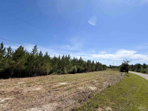 Land, Jay, FL