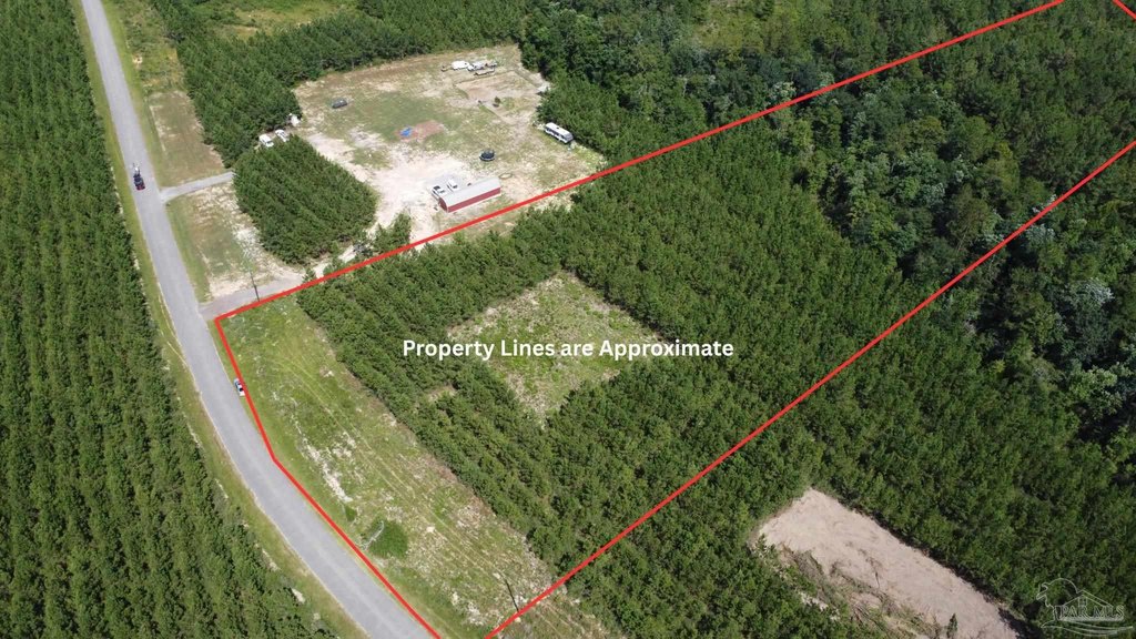 Picture 14