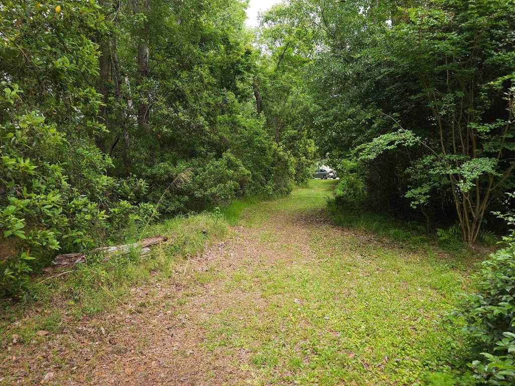 Picture 7