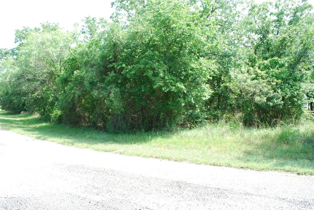 Picture 9