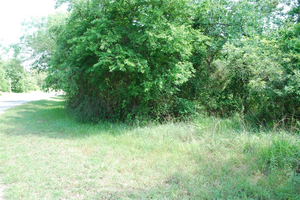 Picture 8