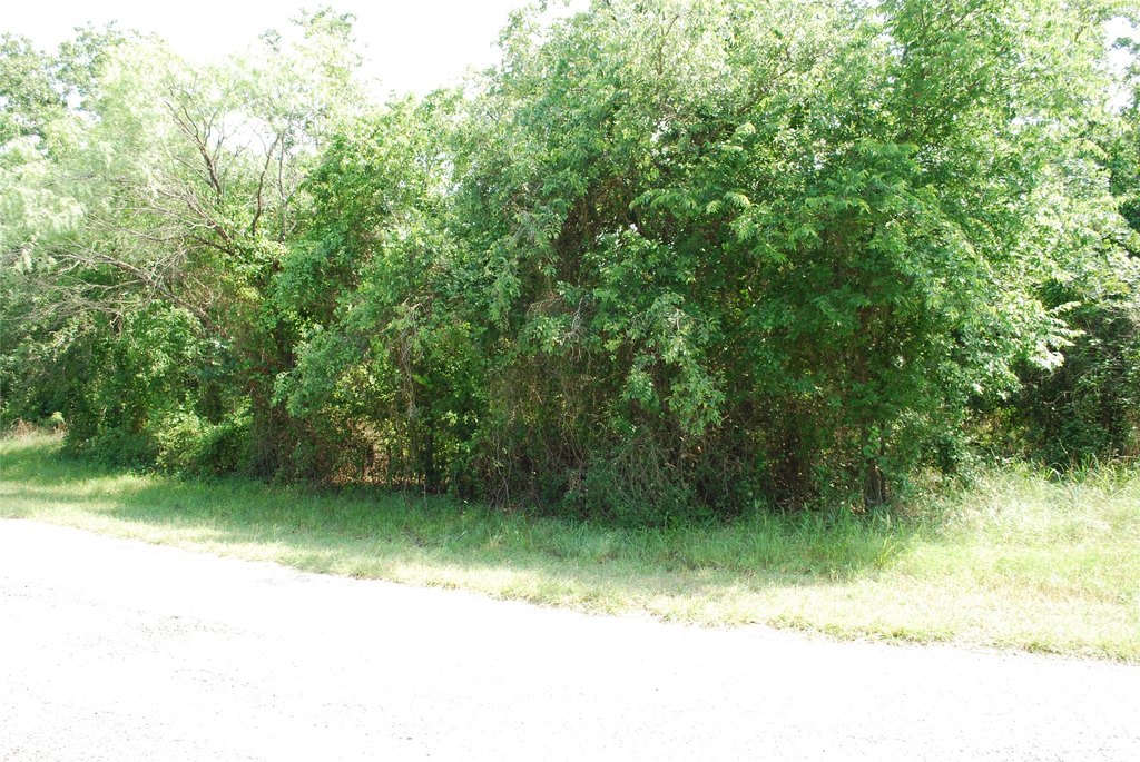 Picture 4