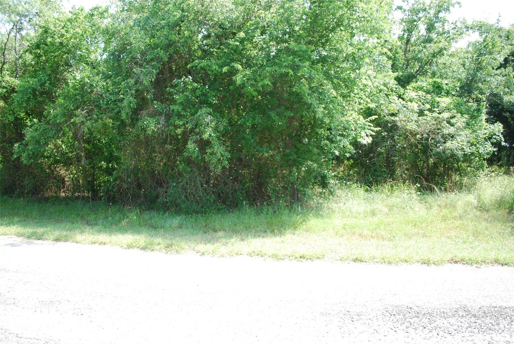 Picture 3