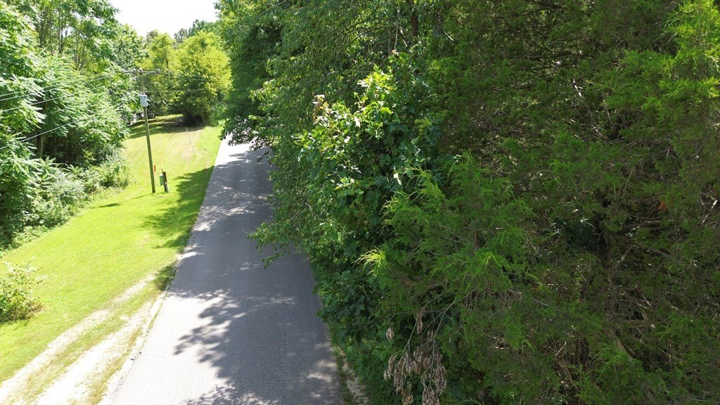 Picture 13