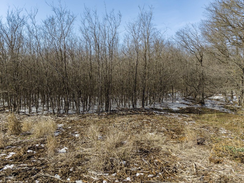 Picture 21