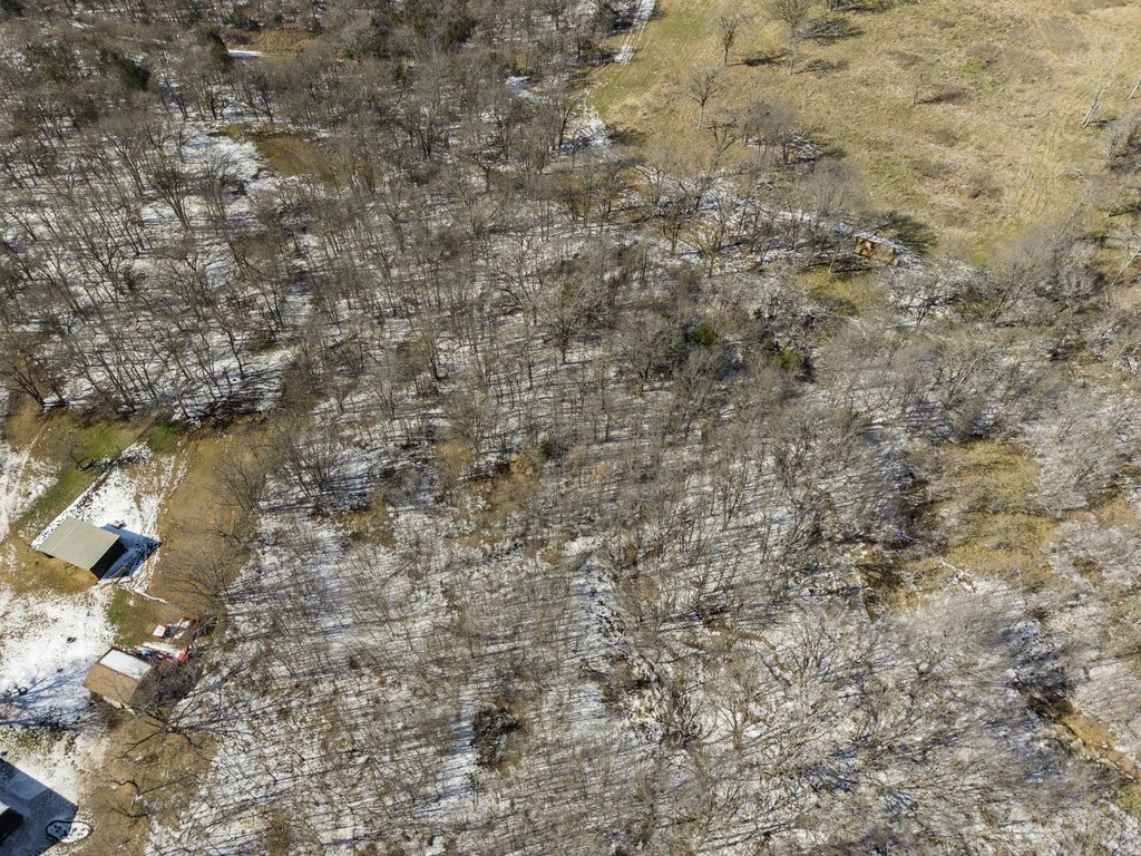 Picture 23