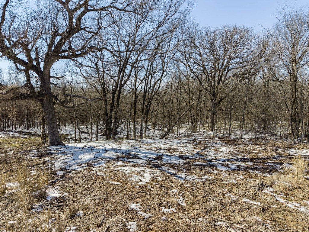 Picture 19