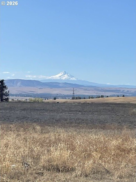 Picture 40