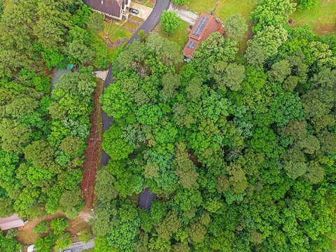 Wooded Lot in Hot Springs