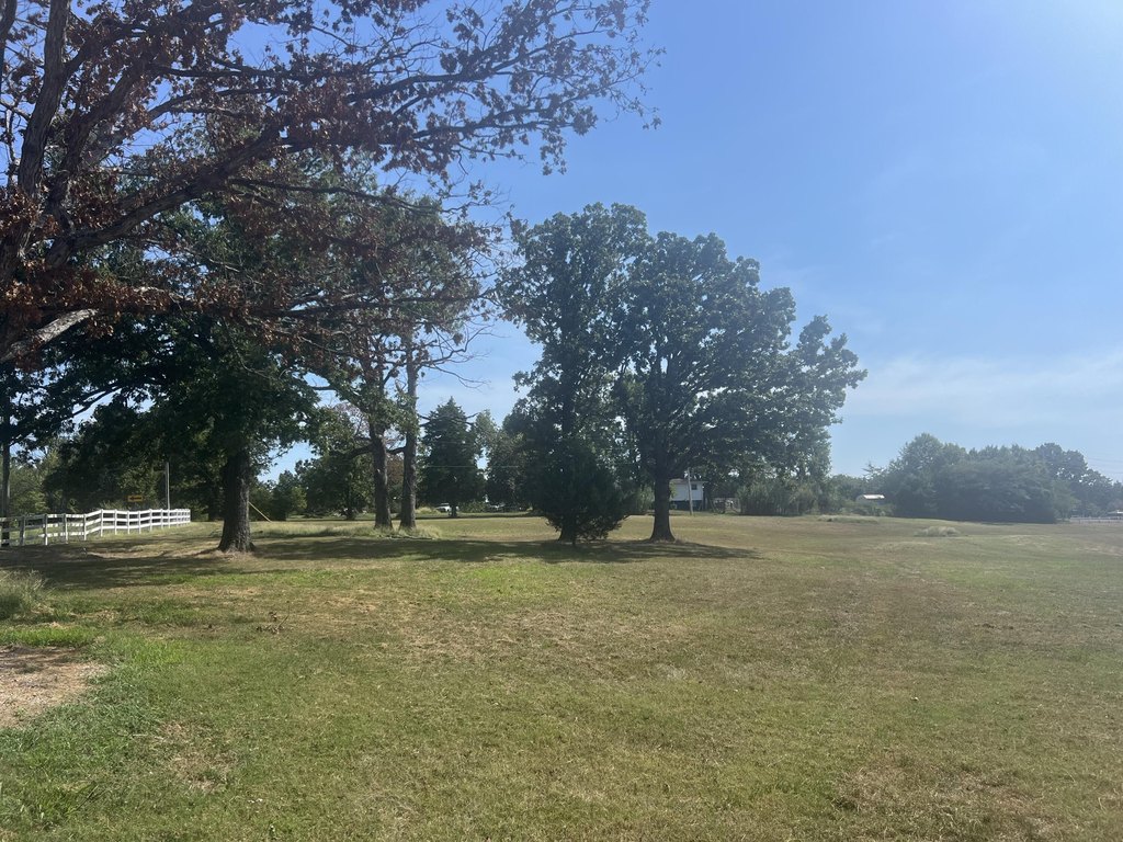Picture 18