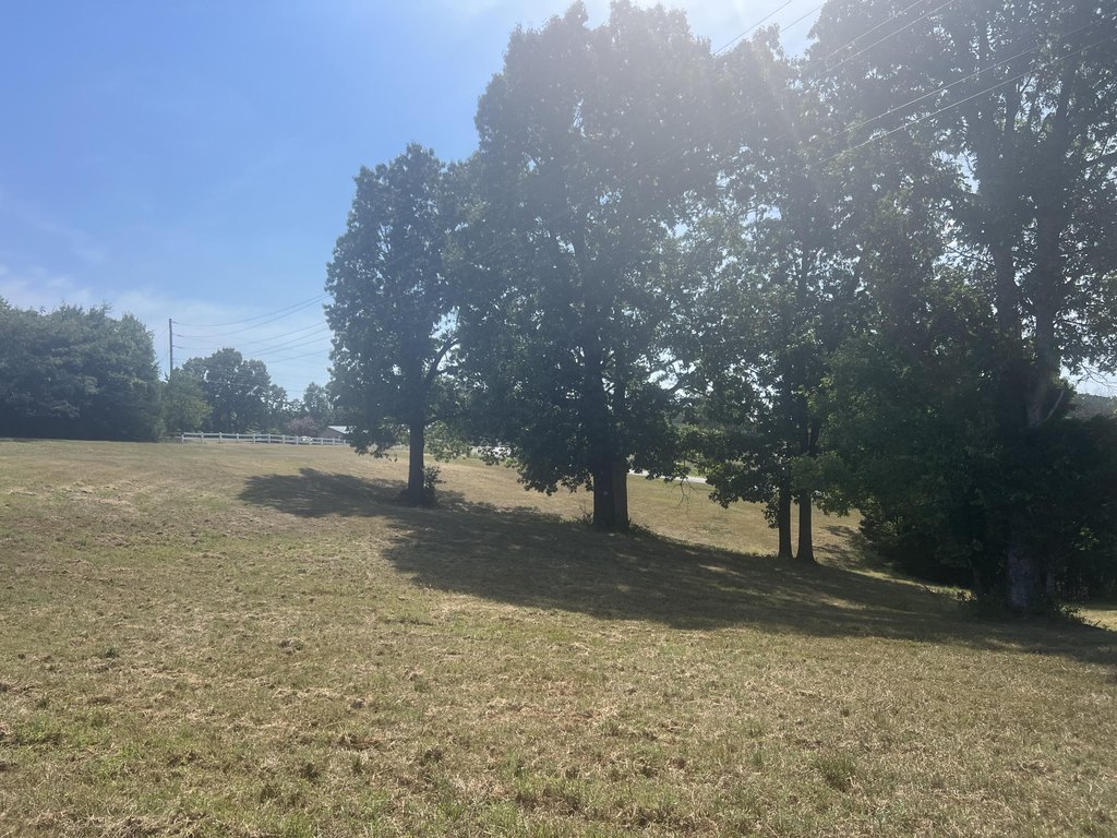 Picture 16