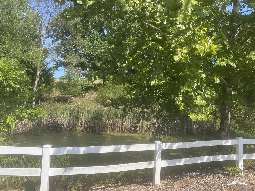 Picture 21