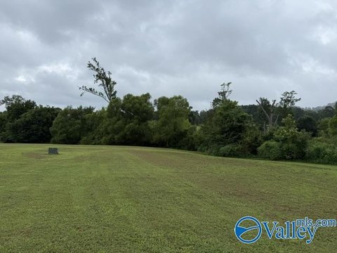 LAND - Guntersville, AL