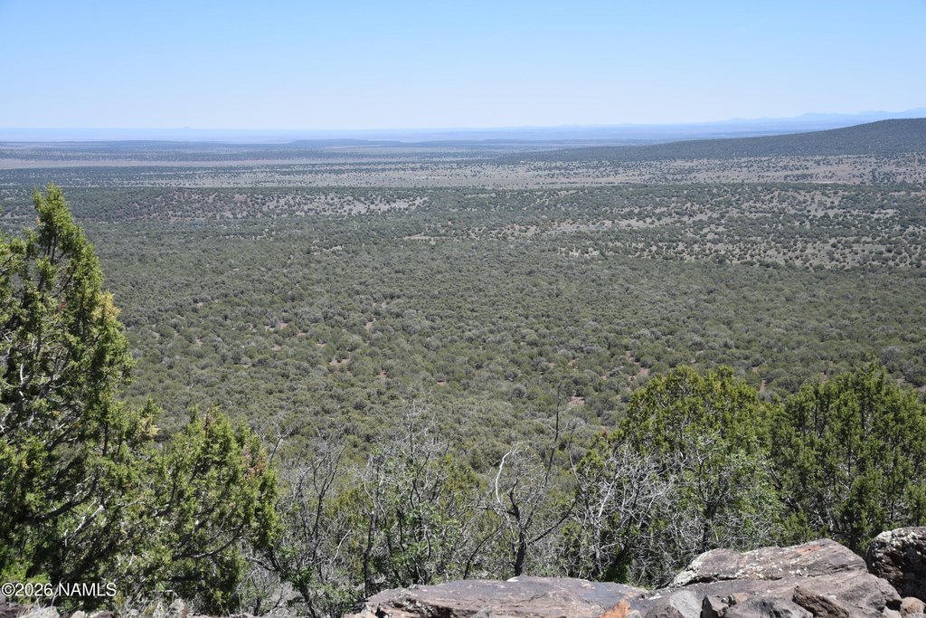 Picture 24