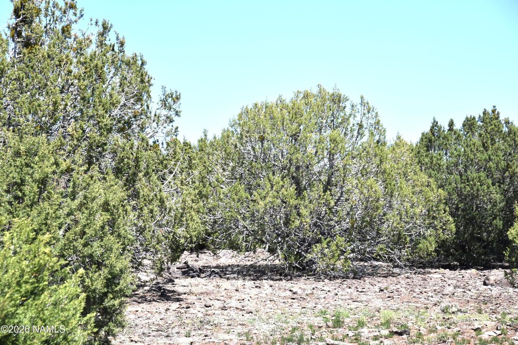 Picture 8