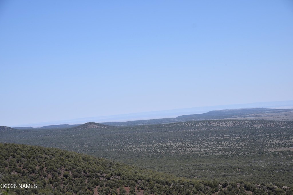 Picture 28