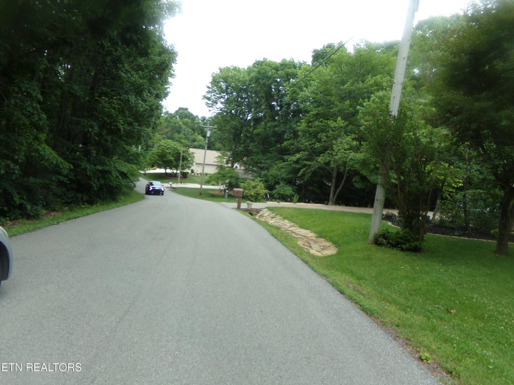 Picture 4
