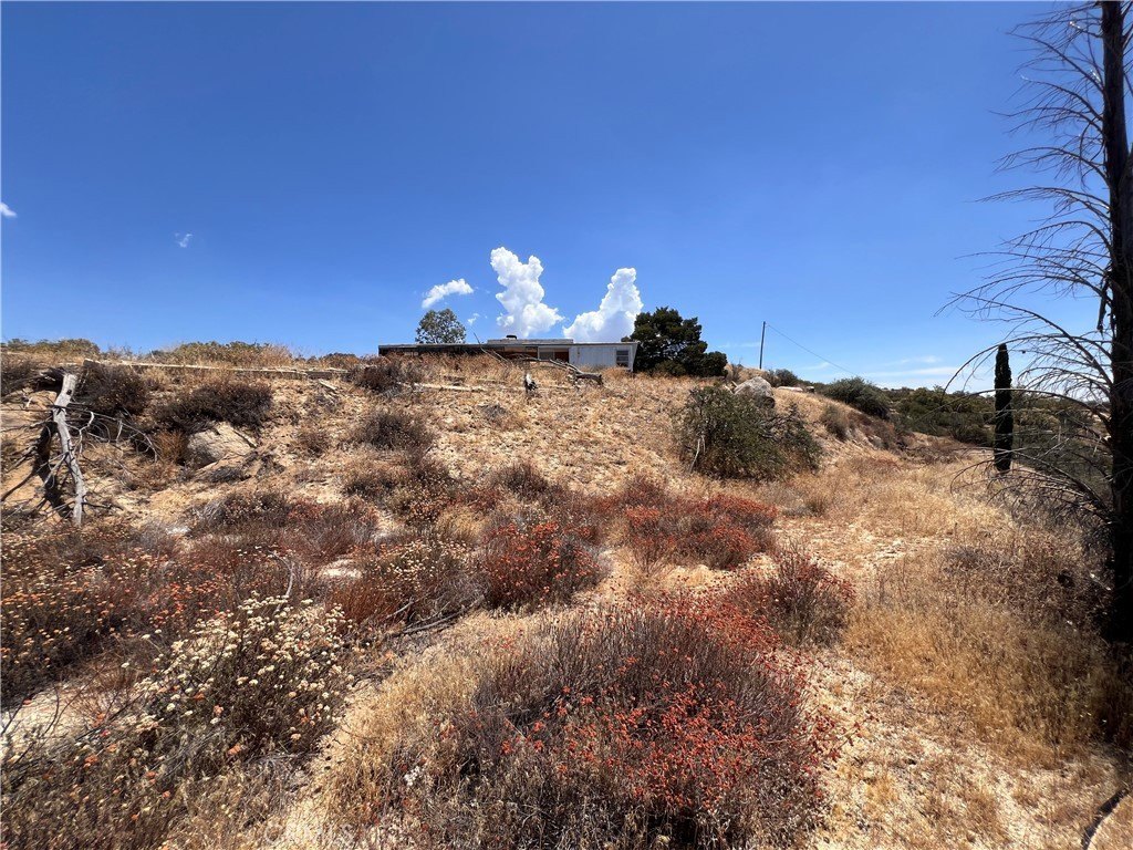 Picture 27