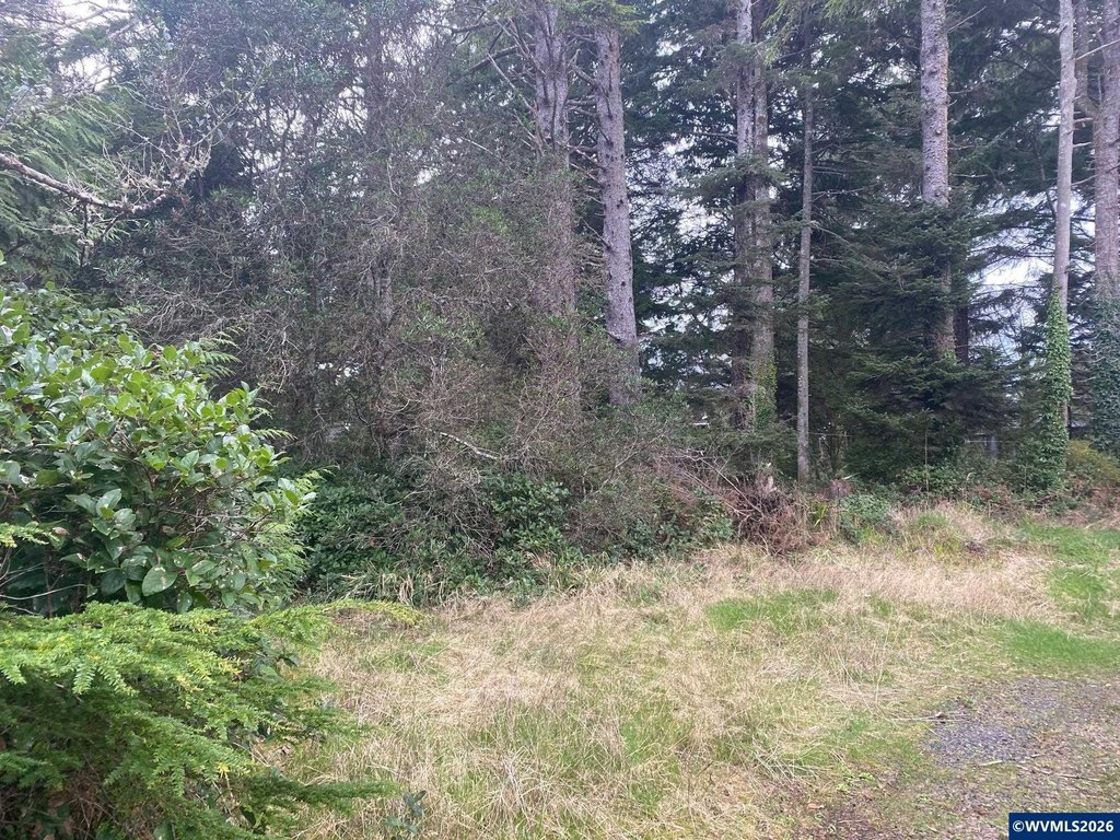 Picture 3