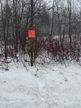 Castle Hill Land For Sale