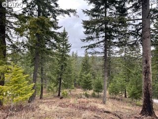 White Salmon Wooded Acreage