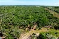 Rockport, TX Wooded Land