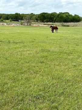 23 Acres of AG Exempt Land