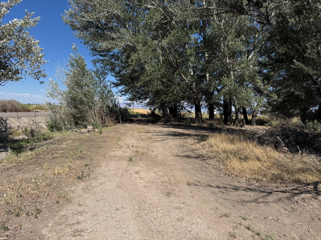 Picture 15