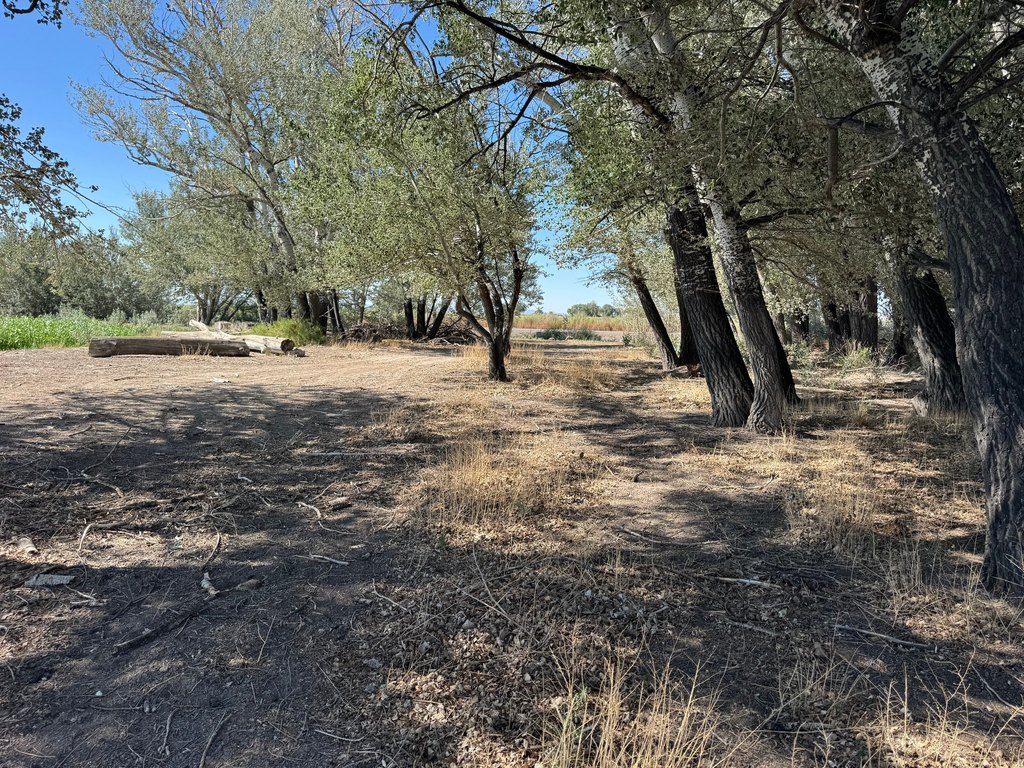 Picture 20