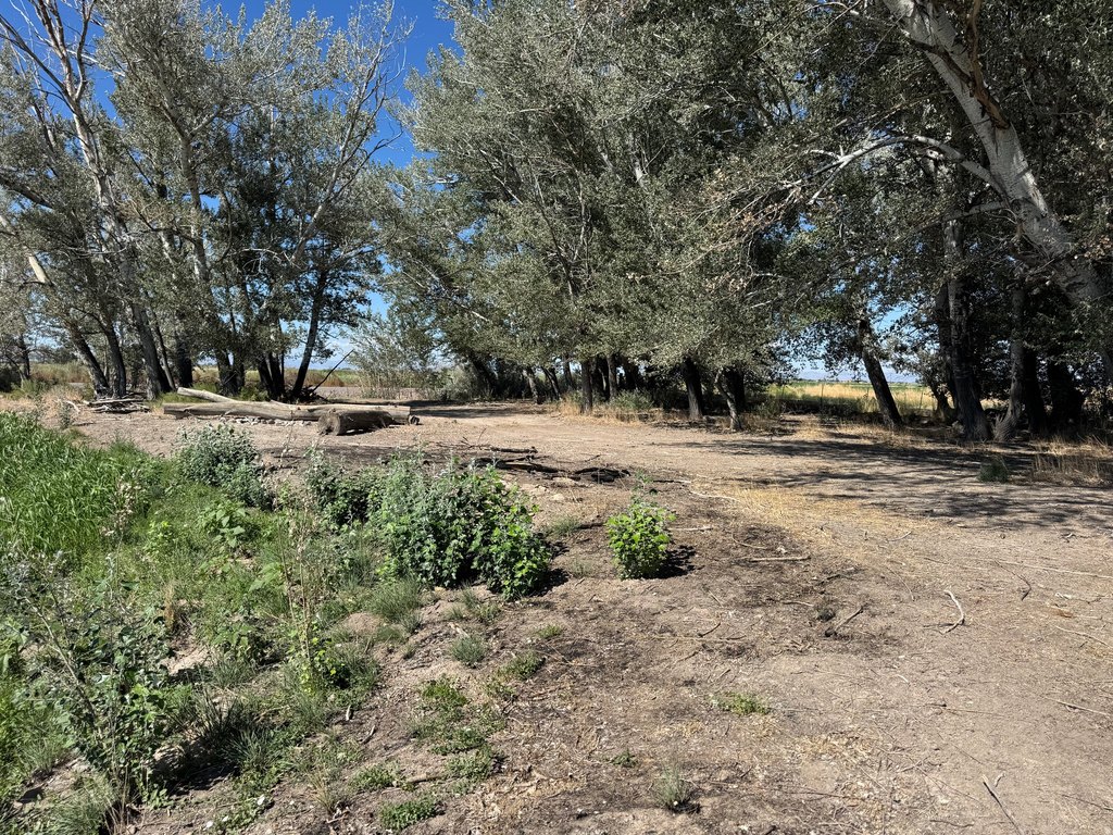 Picture 19