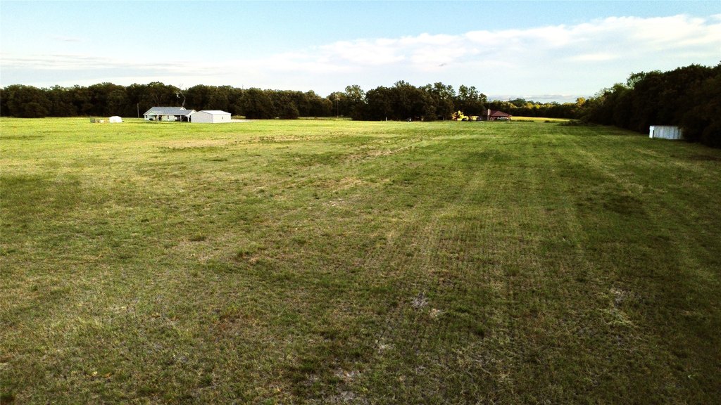 Picture 10