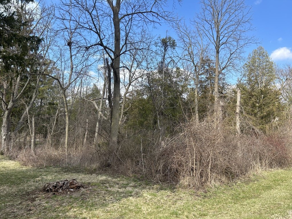 Picture 10