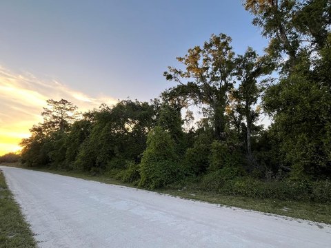 Residential Lot in Old Town, FL