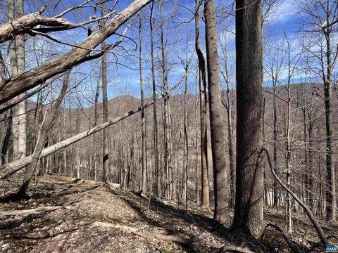 Wooded Riverfront Land