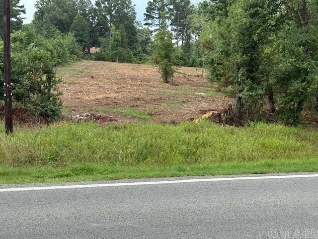 Picture 3