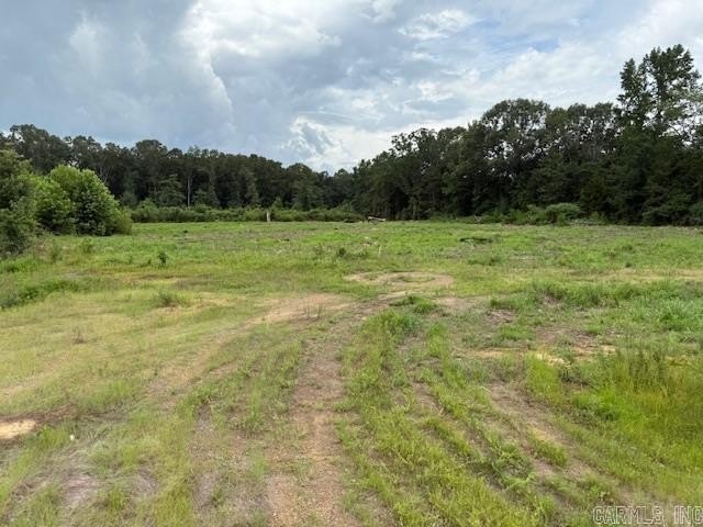 Picture 29