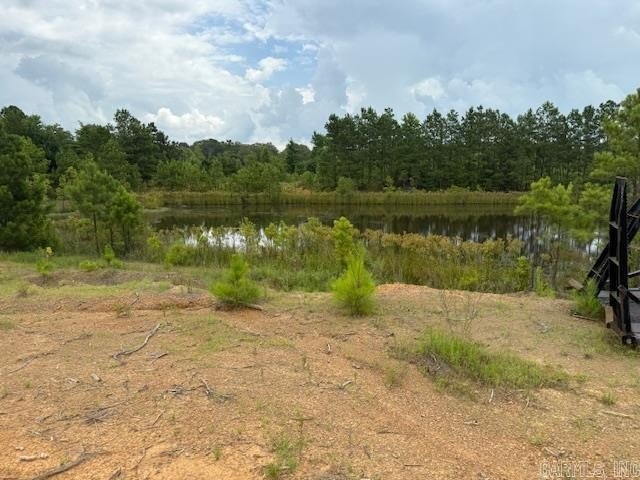 Picture 17